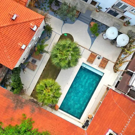 Jardin D'azur *